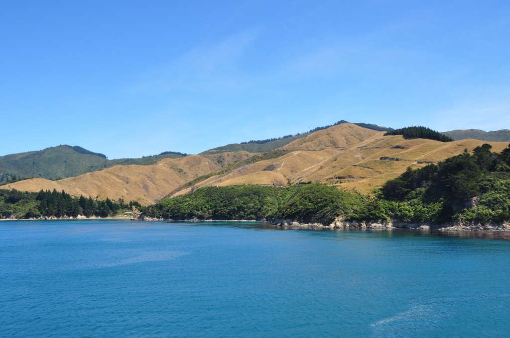 Or it could be Queen Charlotte Sound.